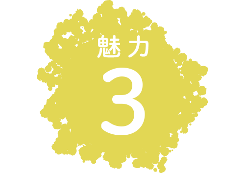 魅力3