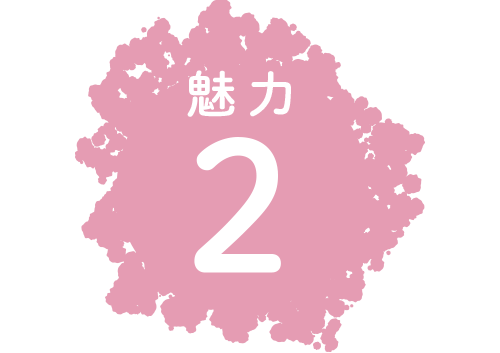 魅力2